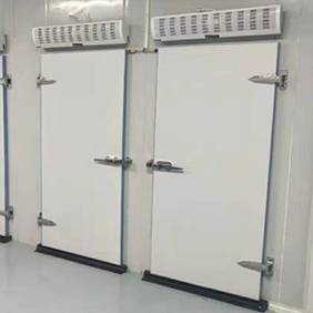 Insulated swing Doors Manufacturers